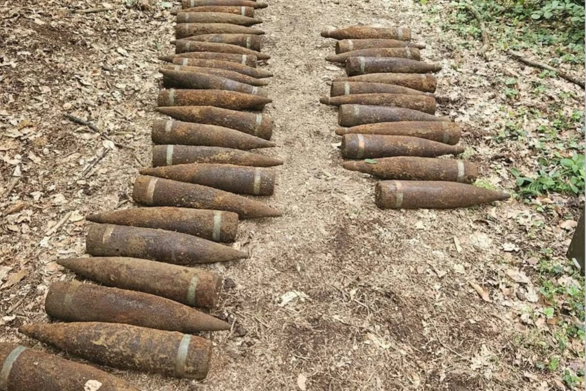 Mitten im Wald: 1,5 Tonnen Weltkriegsmunition entdeckt
