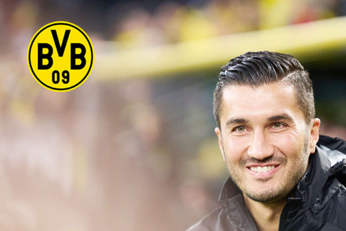 Champions League live: Trainer-Debüt in der Königsklasse! Heute Abend sind die Augen auf den BVB gerichtet