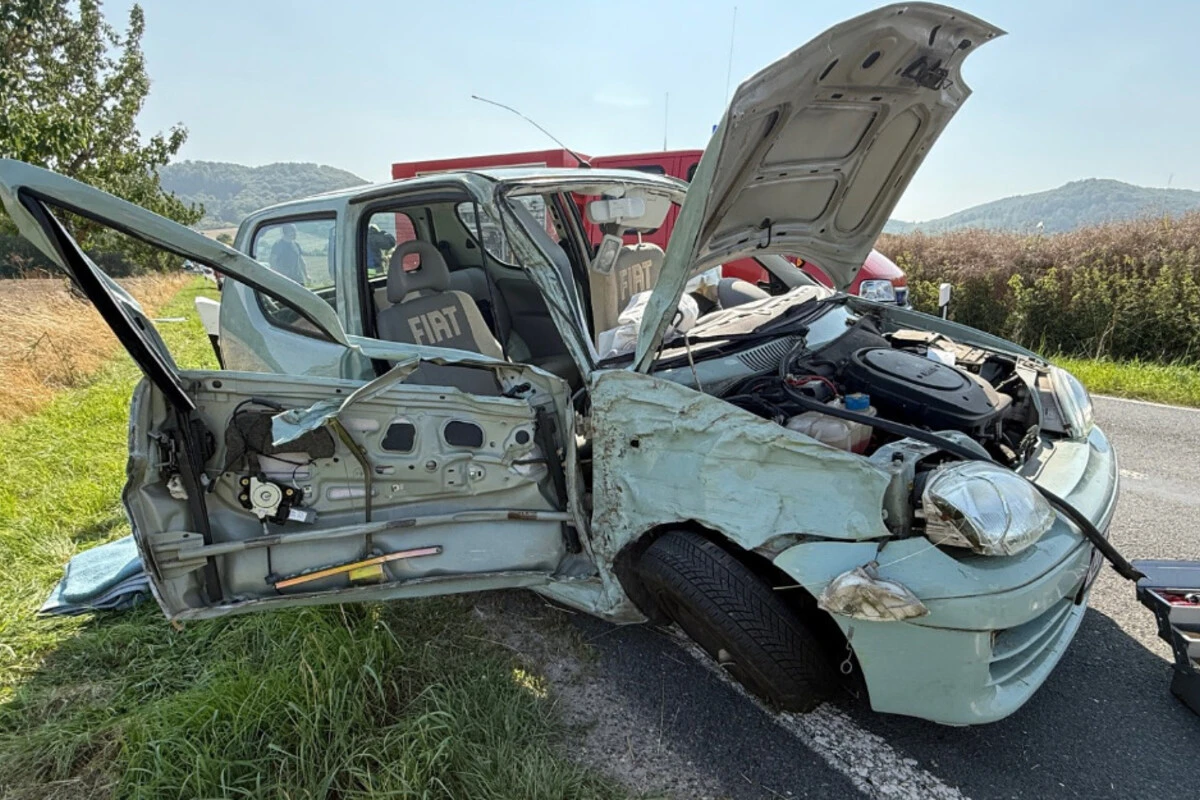 Hund springt auf den Beifahrersitz, Fiat kracht gegen Baum
