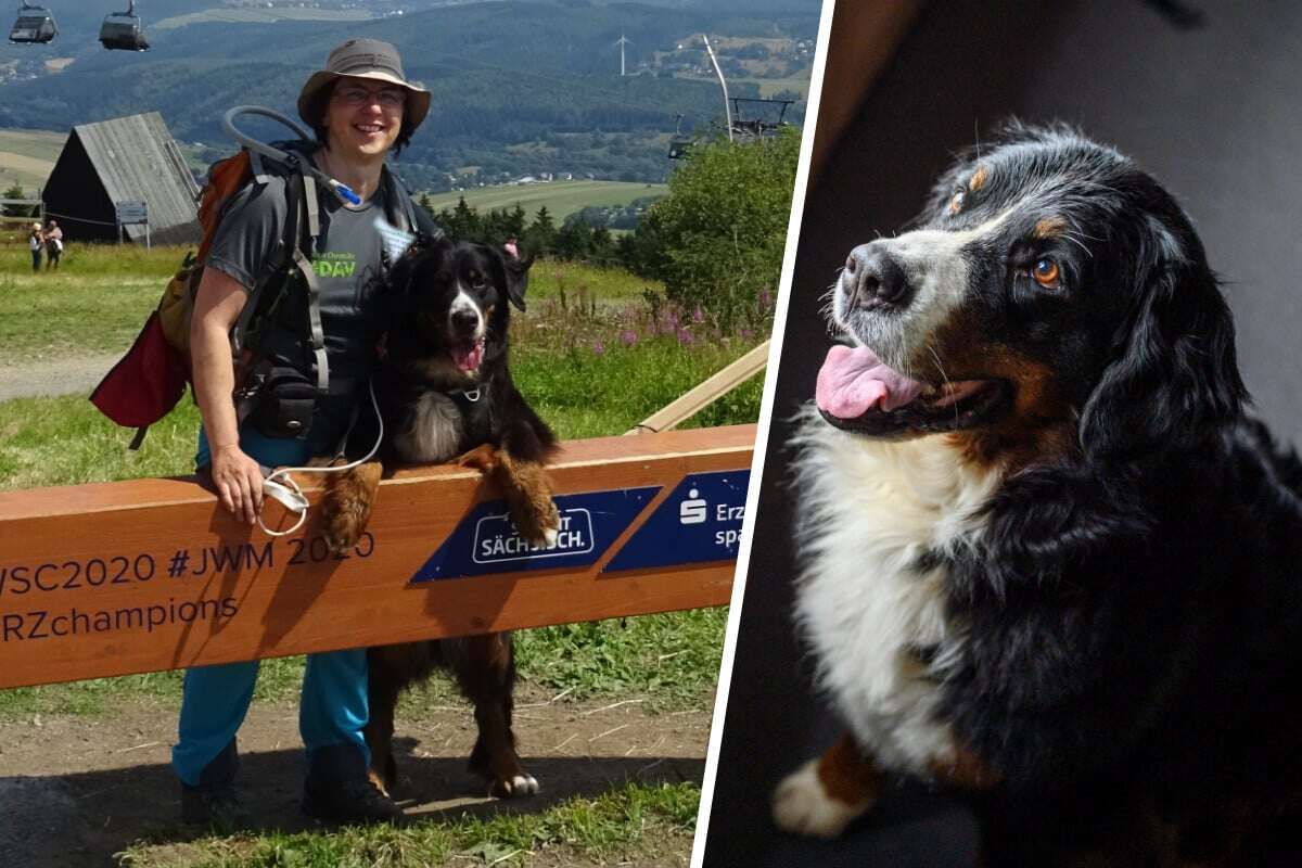 Wandern mit Hunden: Diese Chemnitzerin weiß, wie's geht!