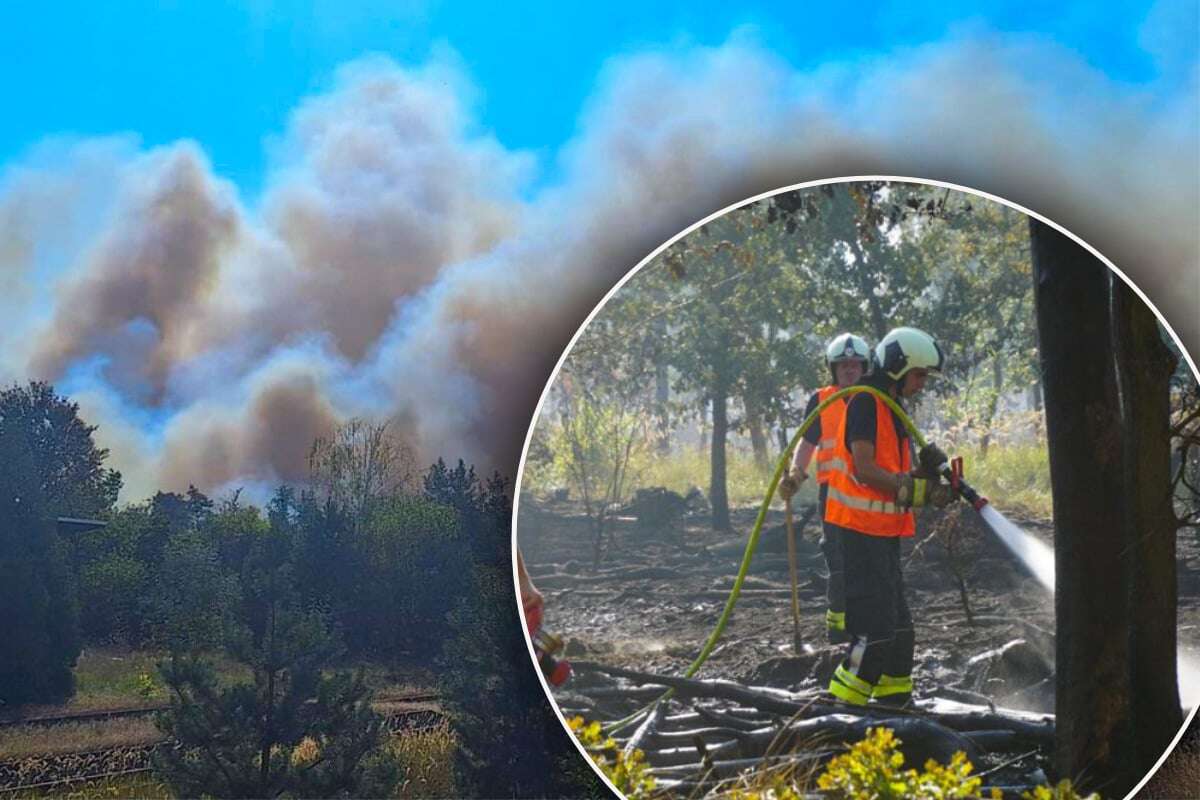 Waldbrand fordert Feuerwehr: 260 Einsatzkräfte kämpfen gegen Glutnester, Kamerad verletzt