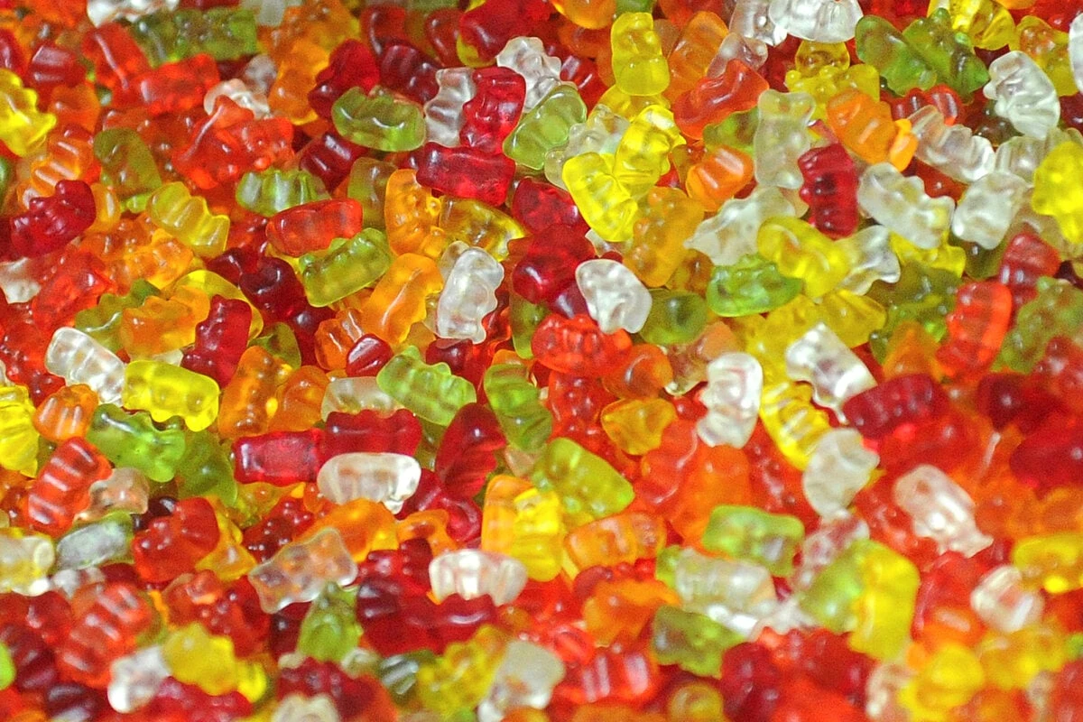 Tradition fällt in diesem Jahr aus! Deswegen sagt Haribo die Kastanien-Sammelaktion ab