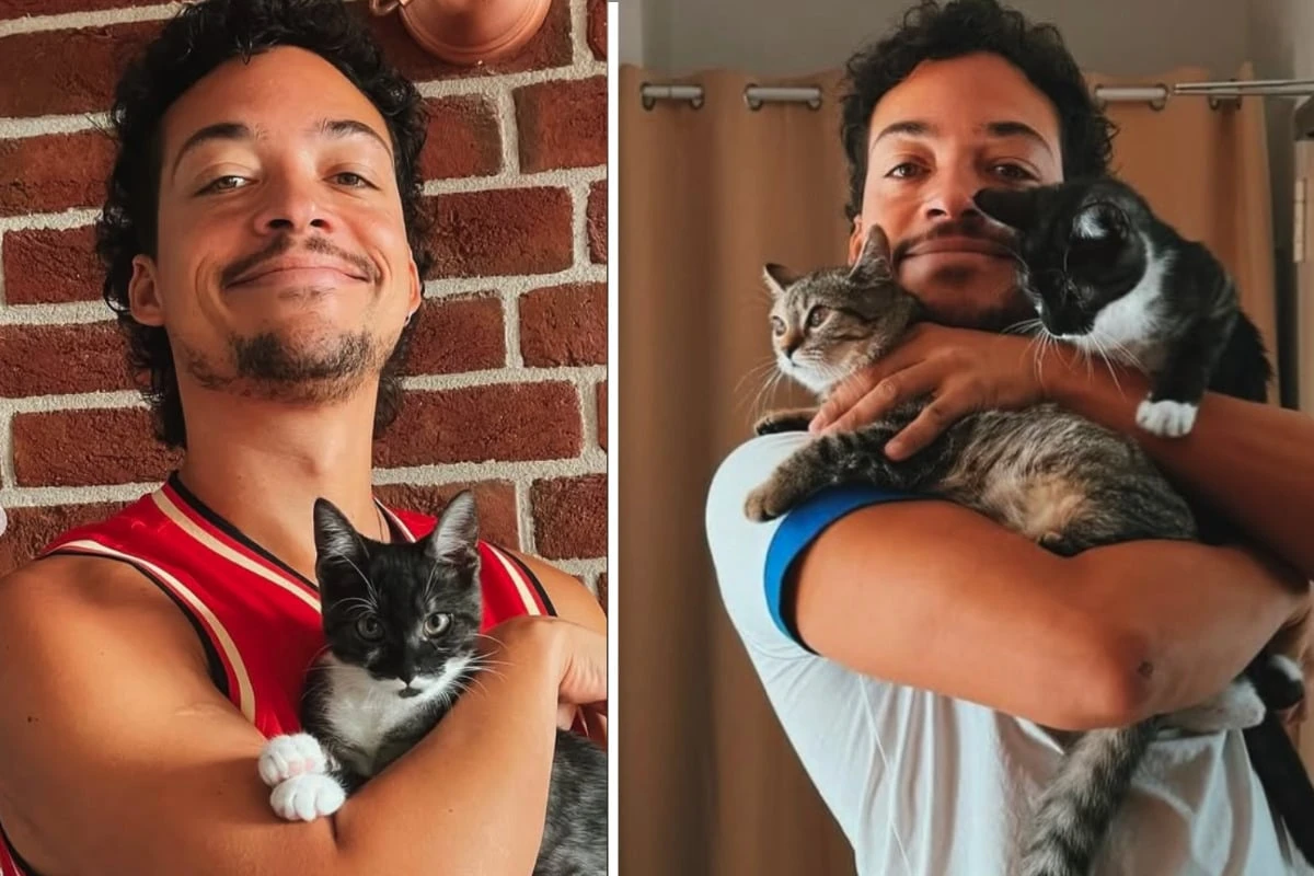 Comedian Aurel Mertz beglückt Berliner Katzen mit größtem Geschenk