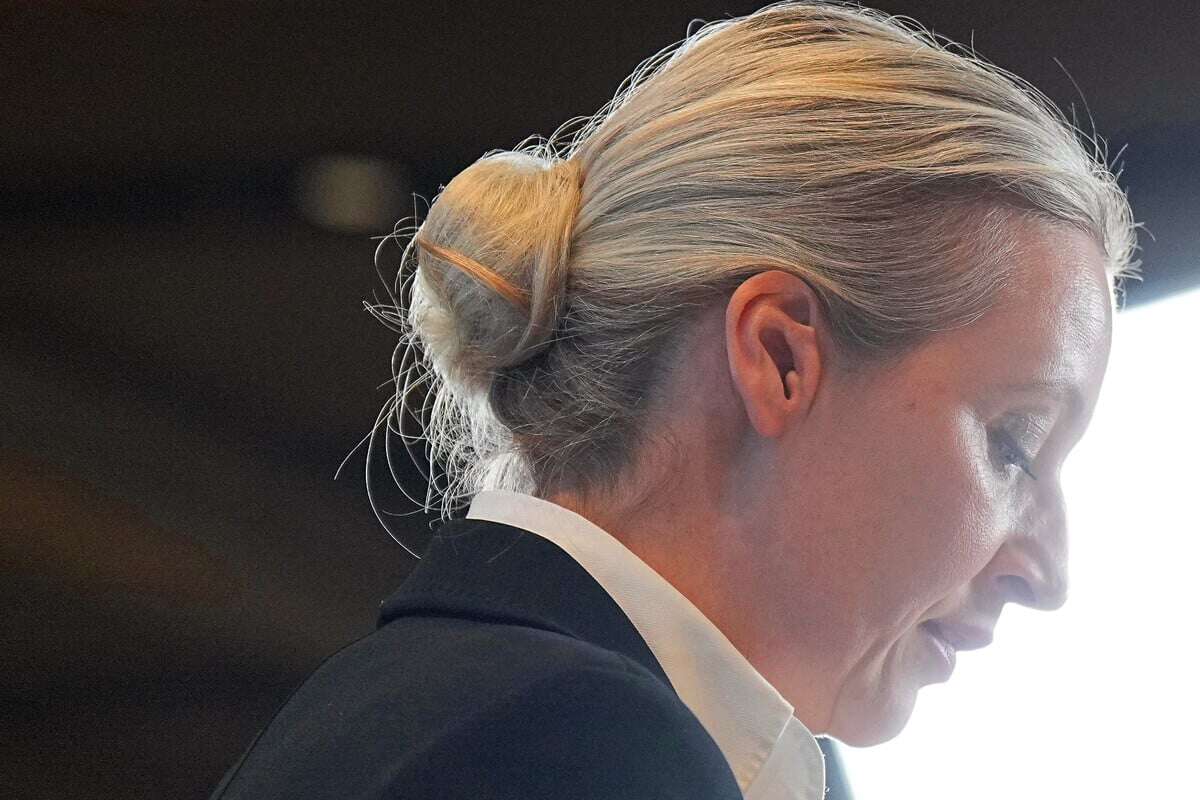 Bundestagswahl: Merz laut Weidel als 