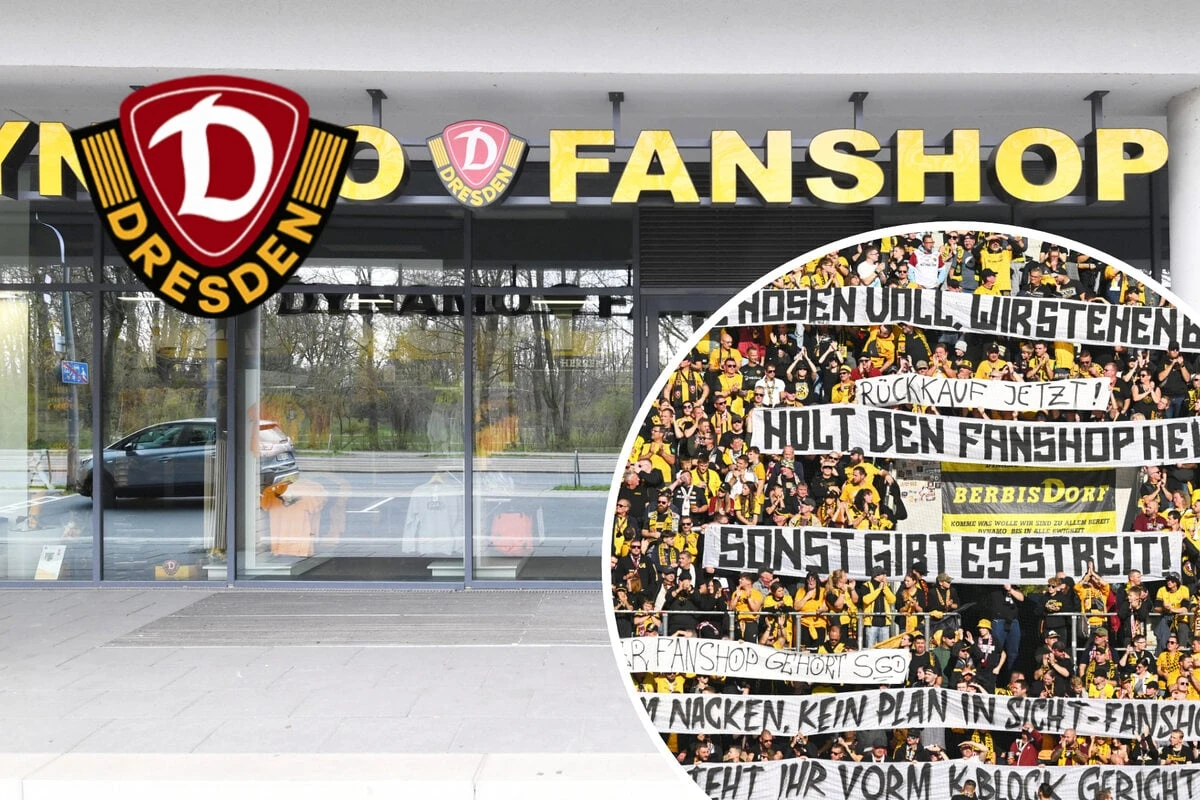 Lösung für Fanshop-Kauf in Sicht? Dynamo sucht perfekten Mittelweg