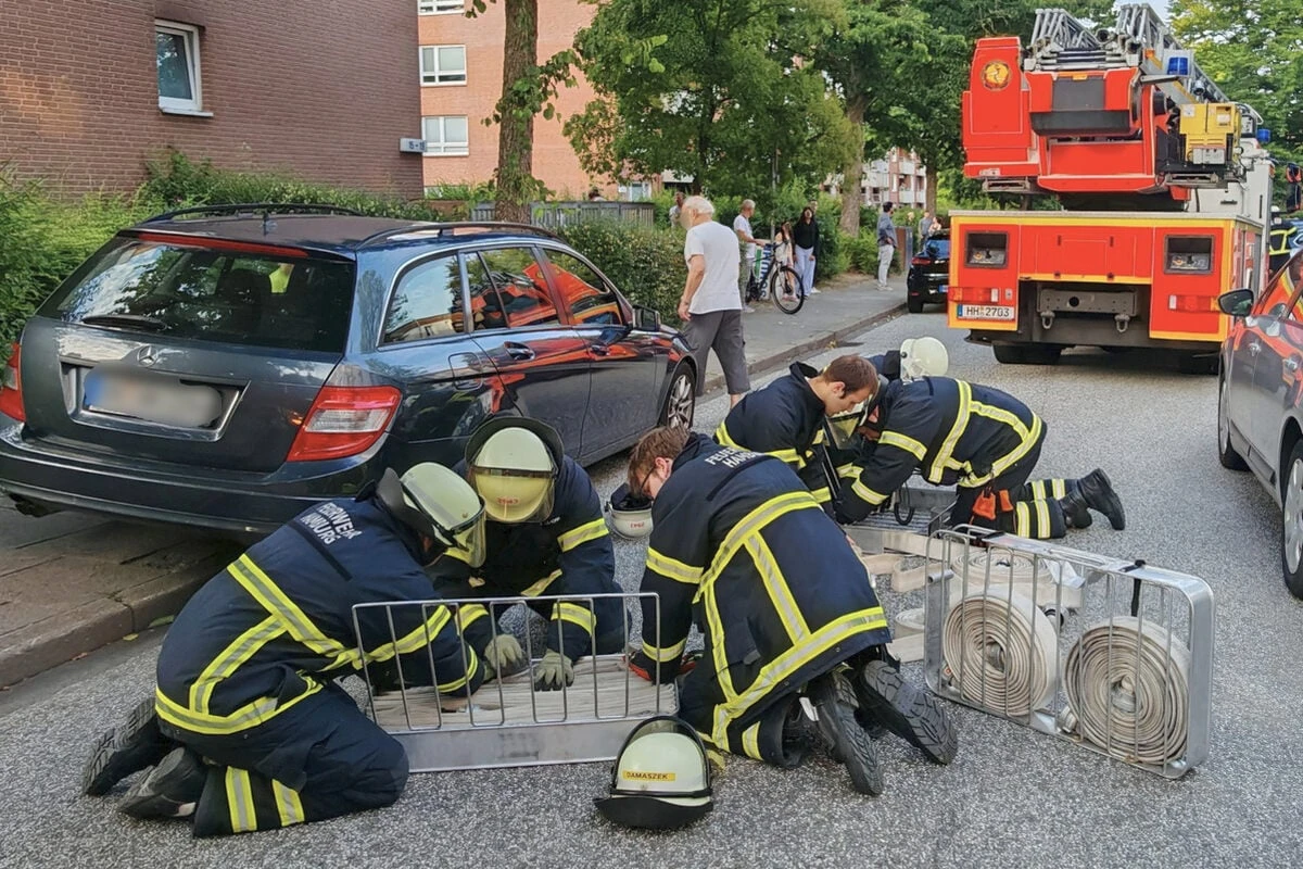 Anwohner wollen Wespennest bekämpfen: Irre Verkettung löst Großeinsatz aus