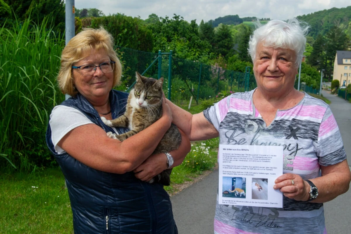 Angst in Chemnitzer Gartensparte: Katzen in grausame Fallen gelockt?
