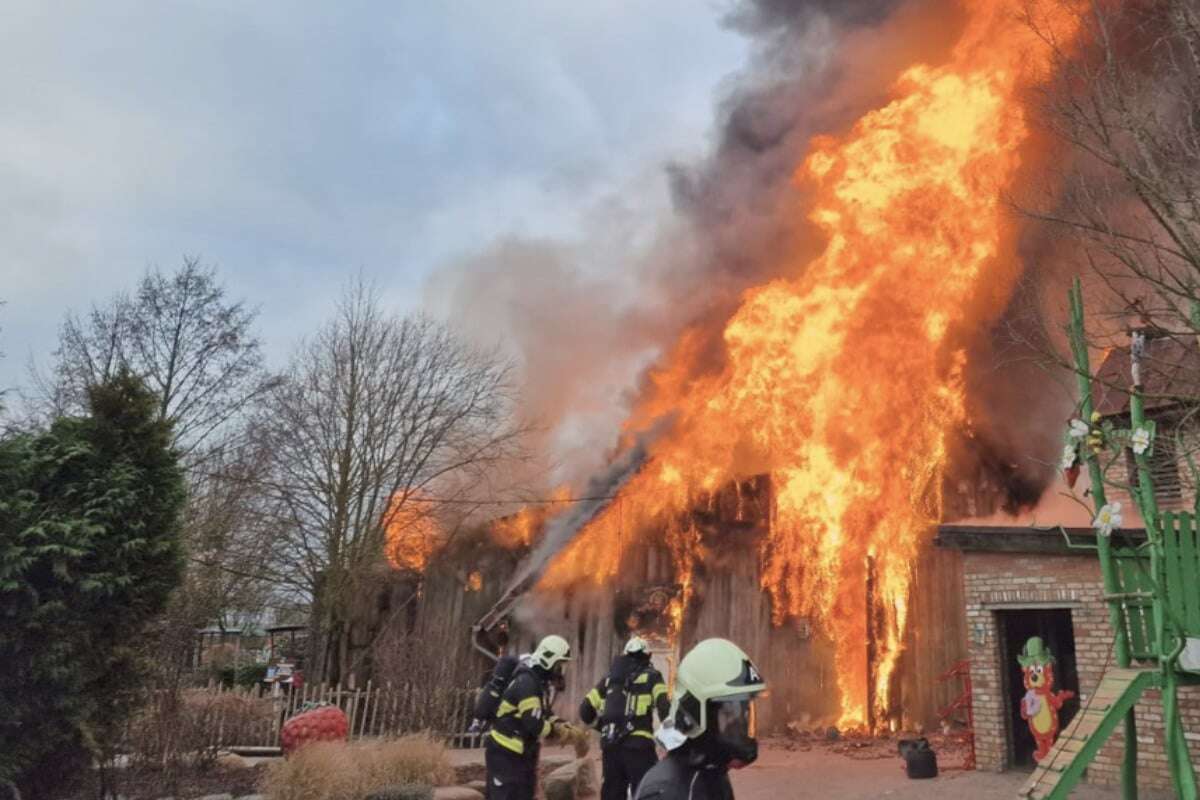 Feuer verursacht Millionenschaden auf Karls Erdbeerhof!