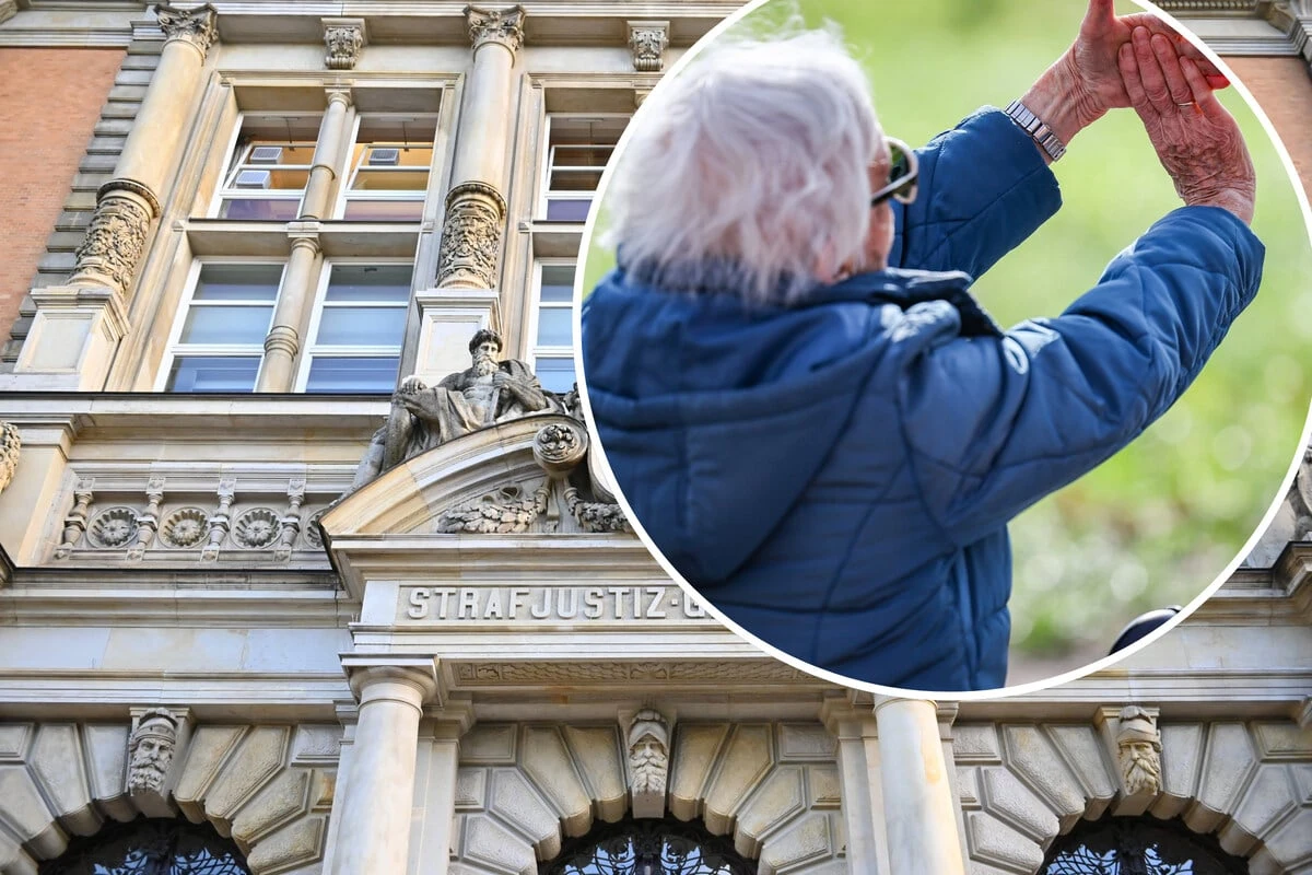 Bizarrer Nachbarschaftsstreit eskaliert: 78-Jährige soll Bäume gefällt haben