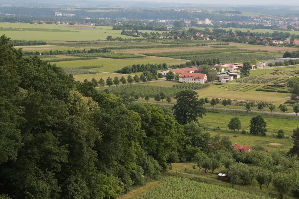 Kommen die Bagger? Kiesabbau nahe des Schlossparks geplant