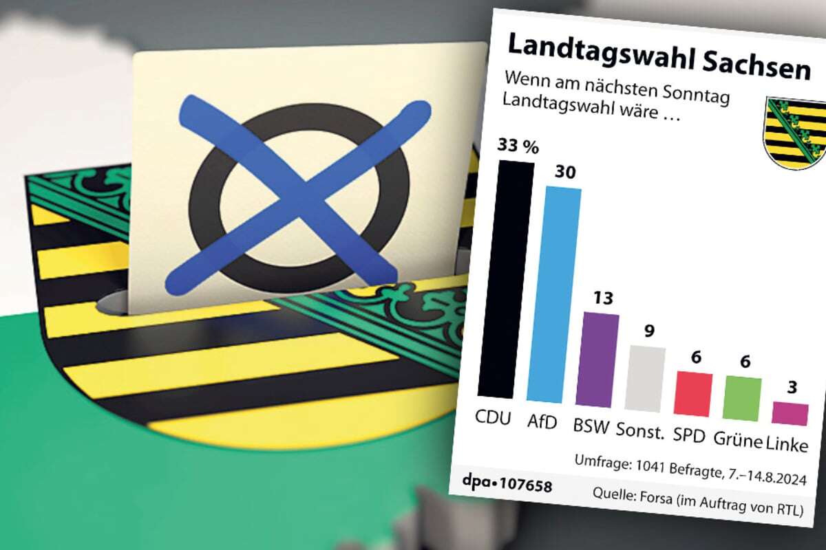 Wer liegt wirklich vorn? Wahl-Umfragen werden zur Achterbahn für Parteien