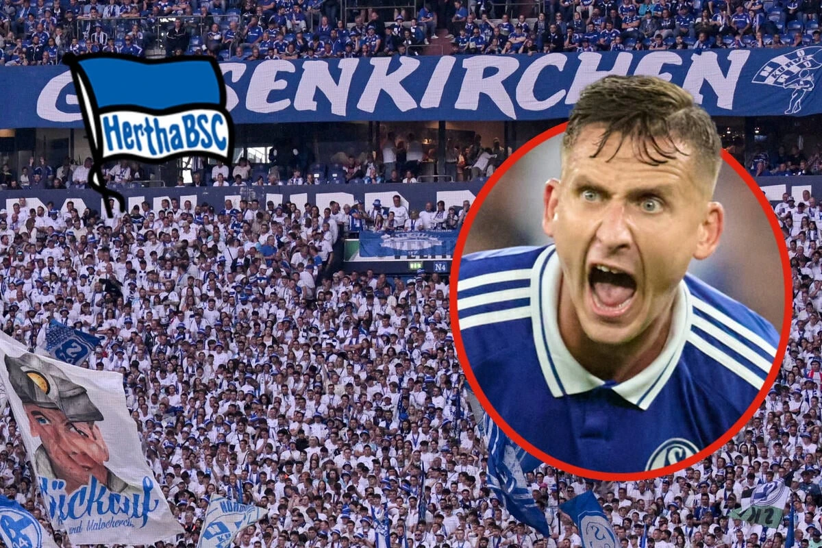 Darum sind die Schalke-Fans nach dem Seguin-Wechsel so sauer