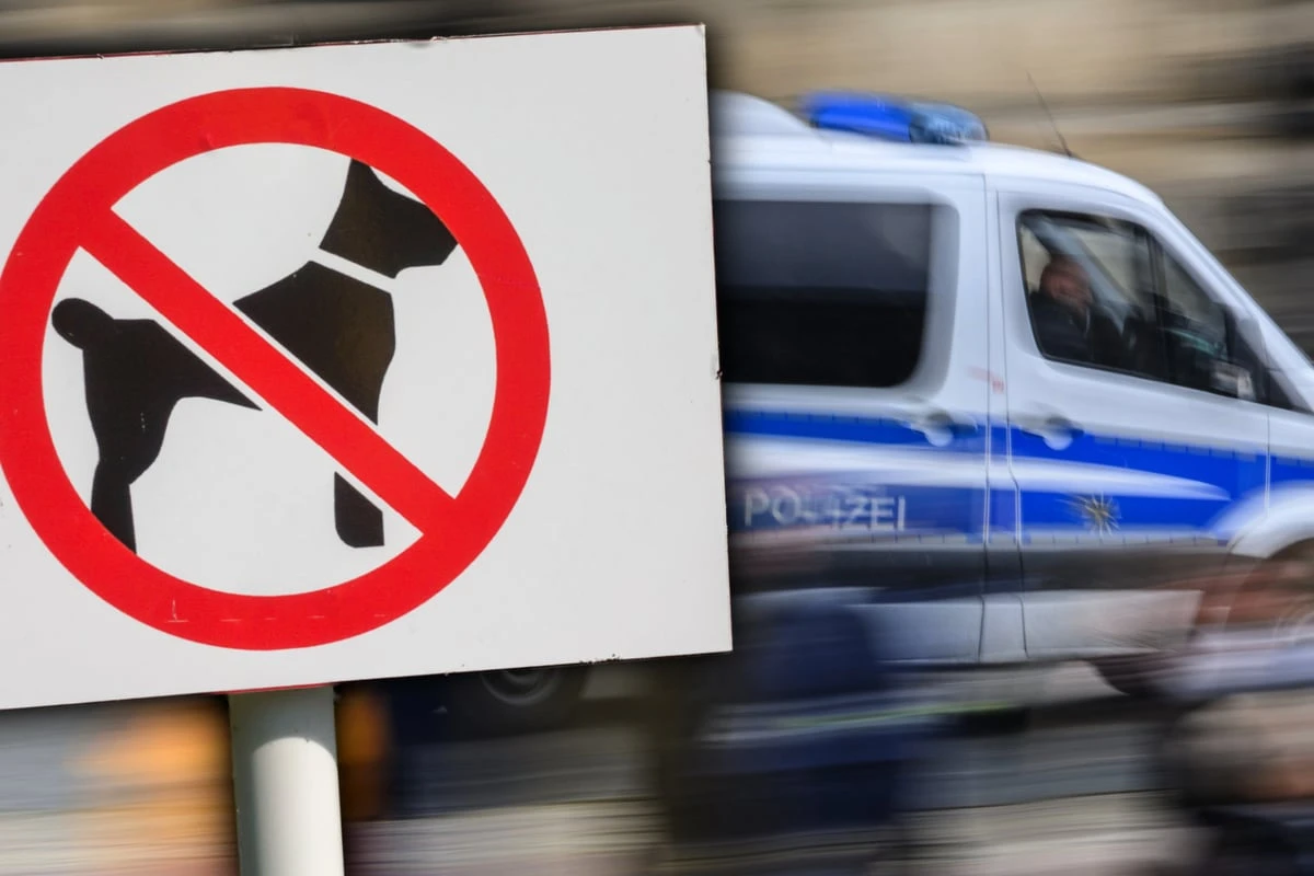 Junge Frau klaut angebundenen Hund: Als Polizisten die Diebin finden, rastet sie aus