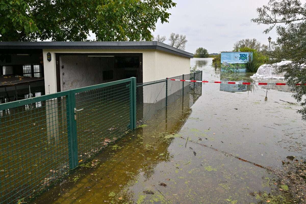 Höchste Hochwasser-Alarmstufe in Eisenhüttenstadt: Überflutung nimmt kein Ende!