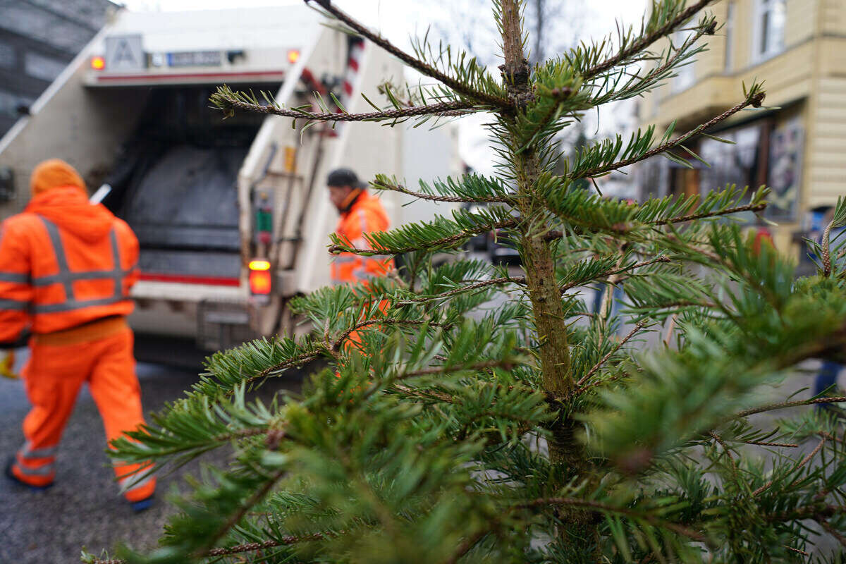 Wenn das Fest vorbei ist: Hier könnt Ihr in Leipzig kostenlos Euren Weihnachtsbaum abgeben