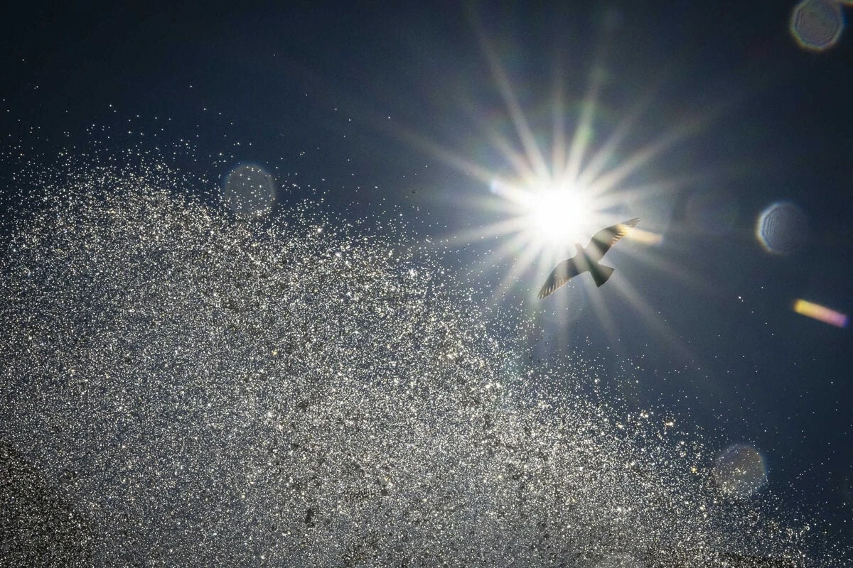 Hitzewelle in NRW: Wann hören die Temperaturen auf zu steigen?