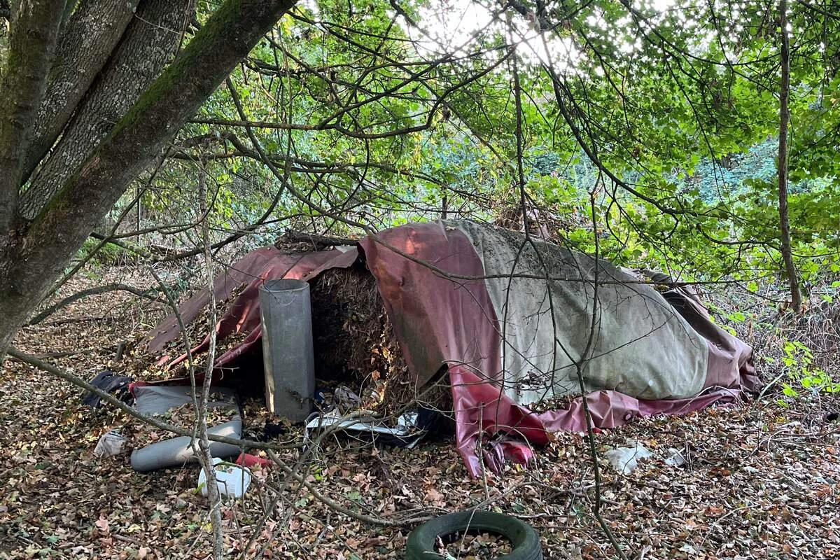 Mitten im Wald: Spaziergänger macht abseits des Weges grauenhaften Fund