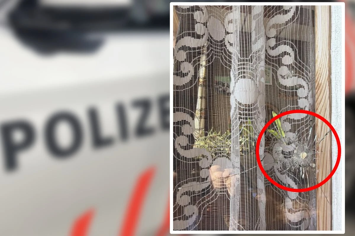 Bäuerin will Krähe abschießen - stattdessen trifft sie das Nachbarhaus