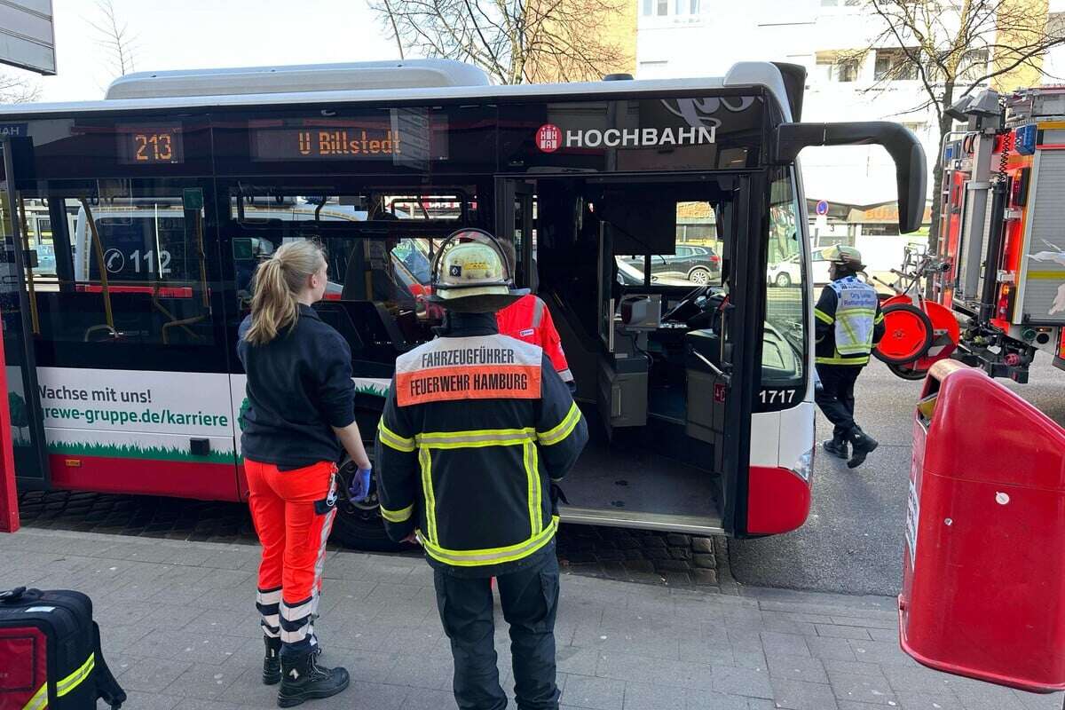 Fünf Verletzte nach Bus-Notbremsung