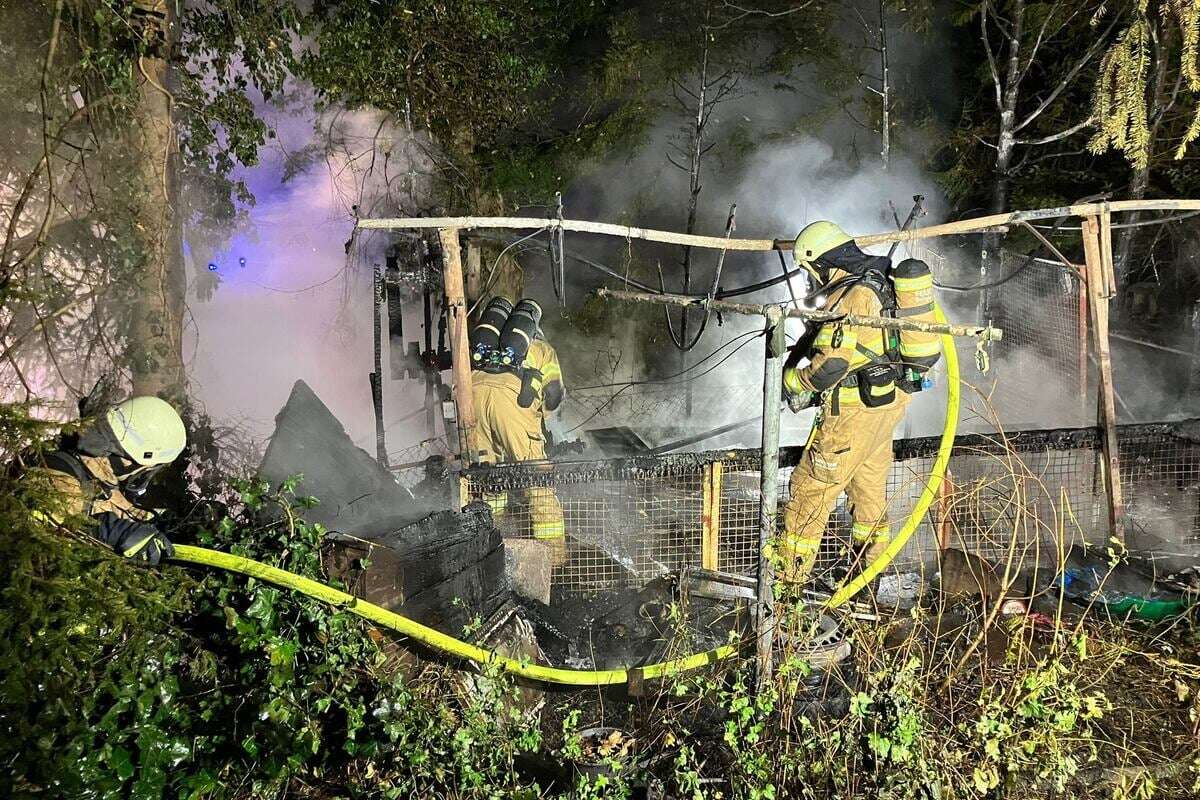 Feuerwehrmann hält Flammenschein für Heckenbrand: Dann sieht er, was wirklich los ist