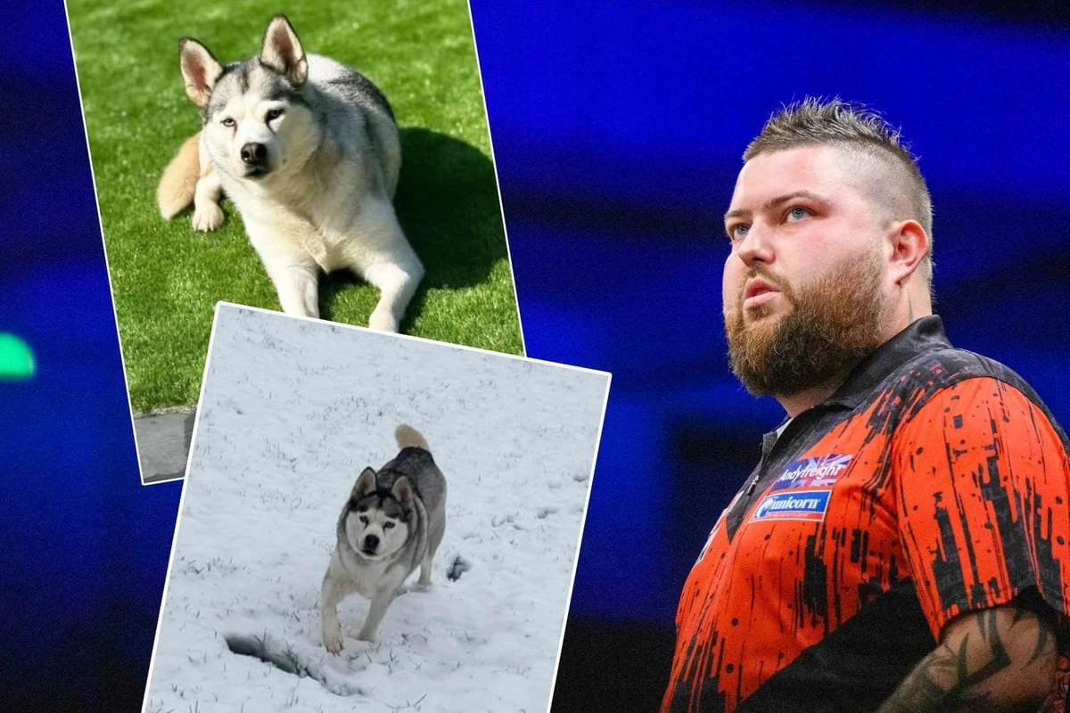 Darts-Star Michael Smith sagt Turnier ab: Der Grund bricht sein Herz
