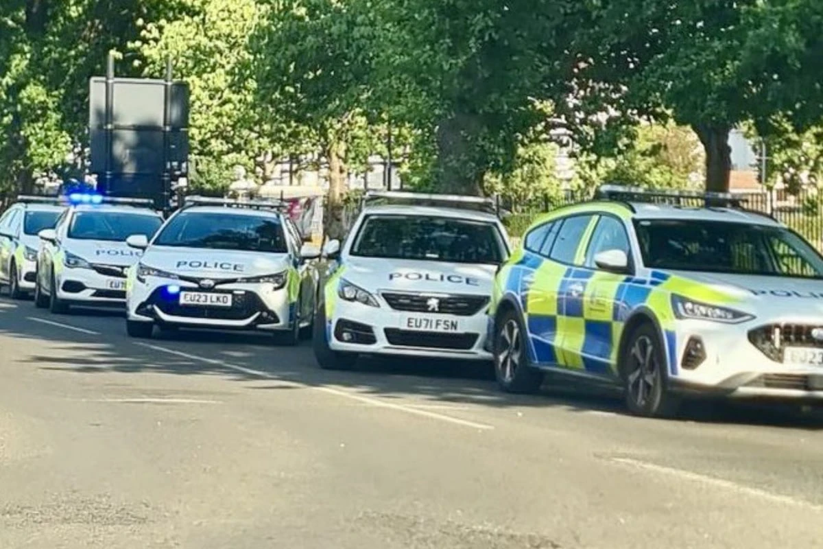 Tragödie im Park: Baum stürzt auf Kindergruppe - Mädchen (†7) tot, vier verletzt
