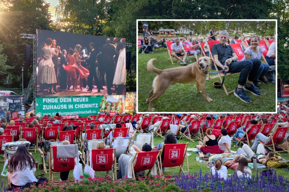 So schön war das TAG24-Sommerkino in Chemnitz