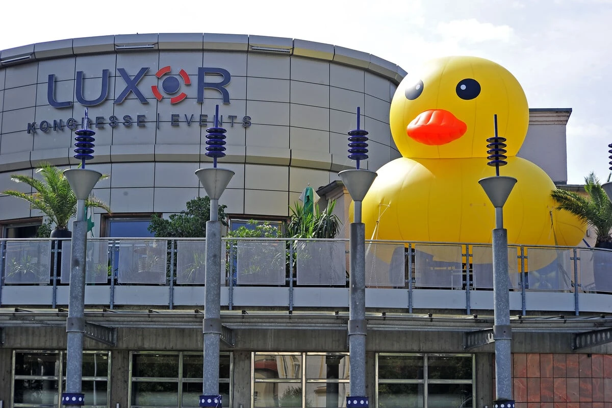 Chemnitz: Was macht diese Ente auf der Luxor-Terrasse?