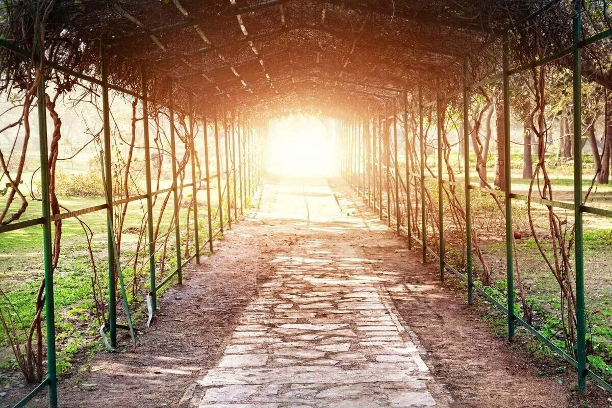 Horoskop heute: Tageshoroskop kostenlos für den 24.6.2026