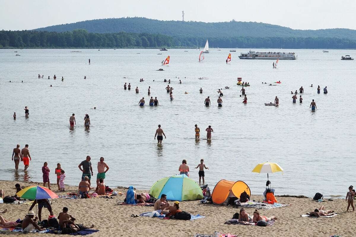 Müggelsee-Halbmarathon einmal im Uhrzeigersinn: Das ist die Topzeit