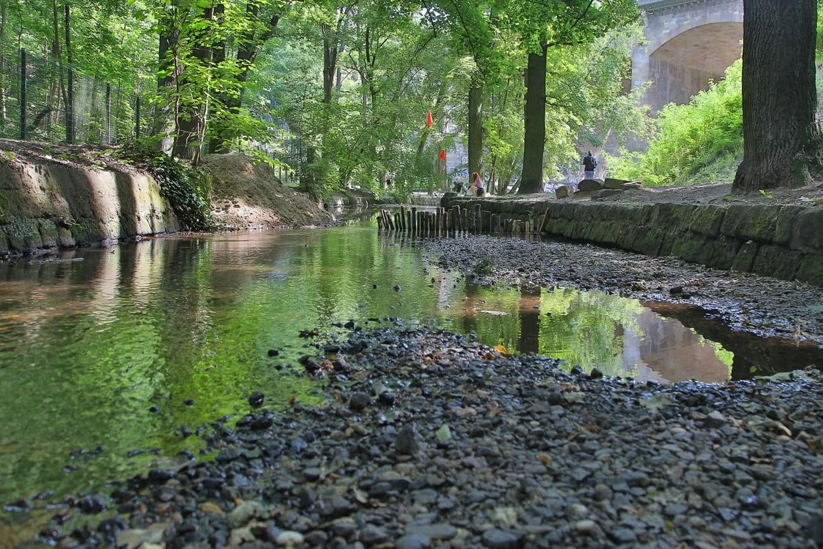 Zu trocken! Sächsischer Landkreis verbietet Wasser-Entnahme