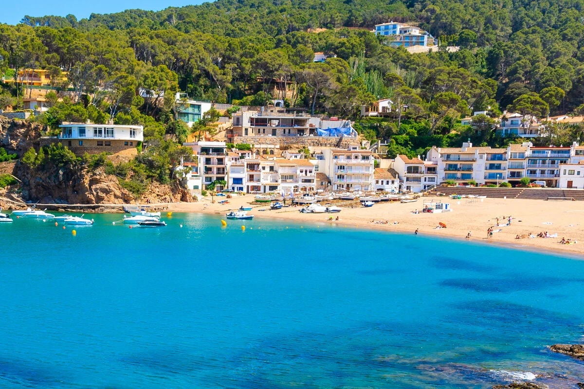 43 Gäste erkrankt: Salmonellen-Alarm in Restaurant auf Mallorca