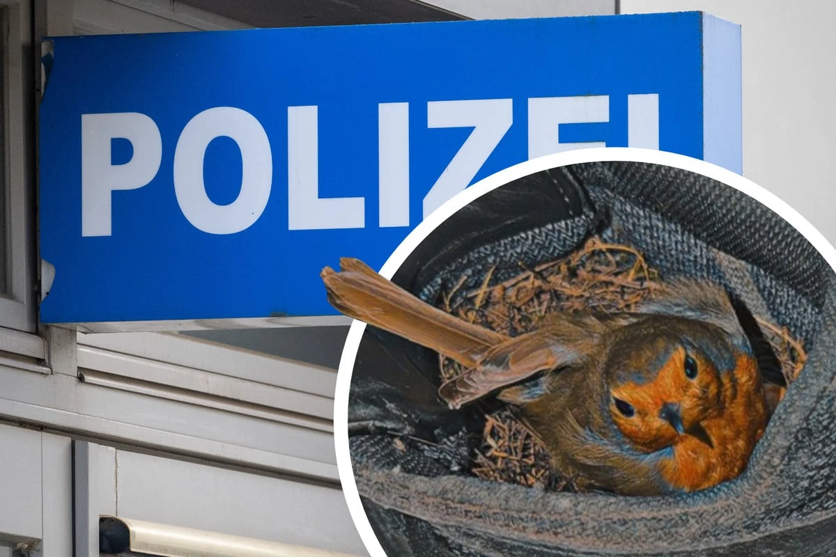 Wer brütet denn da? Polizei hat jetzt ganz offiziell einen Vogel