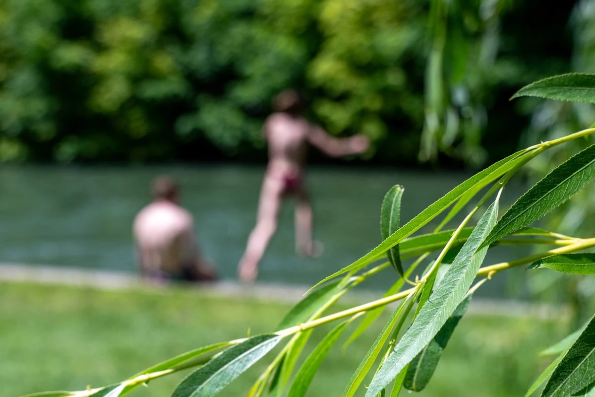 Hubschrauber, Taucher, Drohne: Große Suche nach Eisbach-Schwimmer, doch der war längst daheim