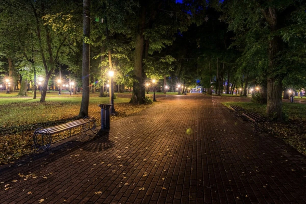 Erfurt: Junge Frau im Park verfolgt und angegriffen
