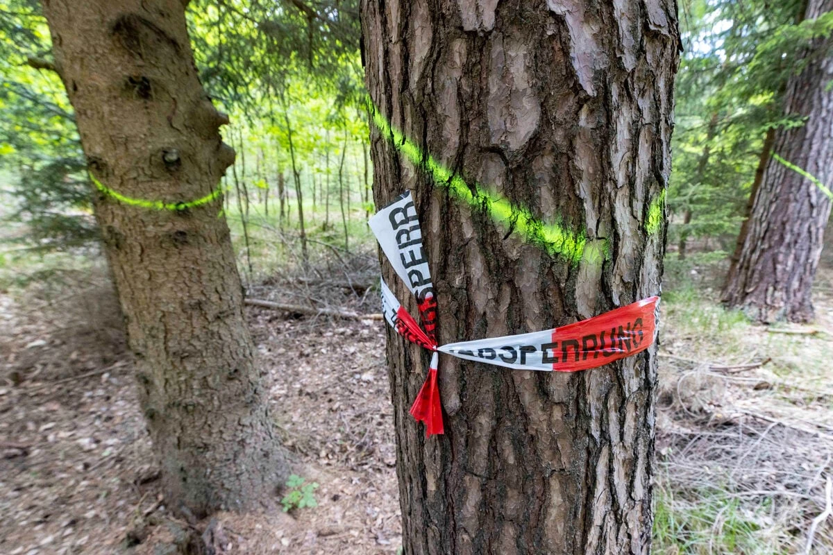 Dresdnerin (†21) tot im Wald entdeckt: Erste Hinweise bei Polizei eingegangen