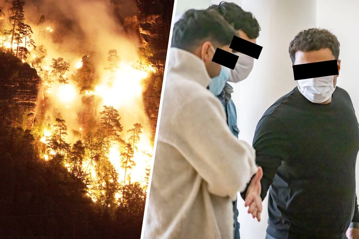 Shisha im Nationalpark geraucht: Setzten SIE den Wald an der Bastei in Brand?