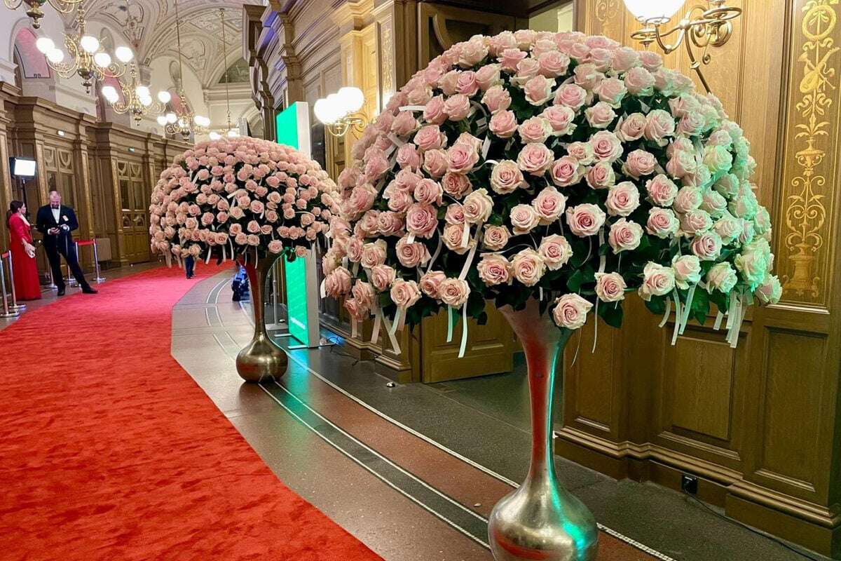 SemperOpernball: Wer jetzt die Blumen-Deko kauft, tut damit nicht nur sich etwas Gutes