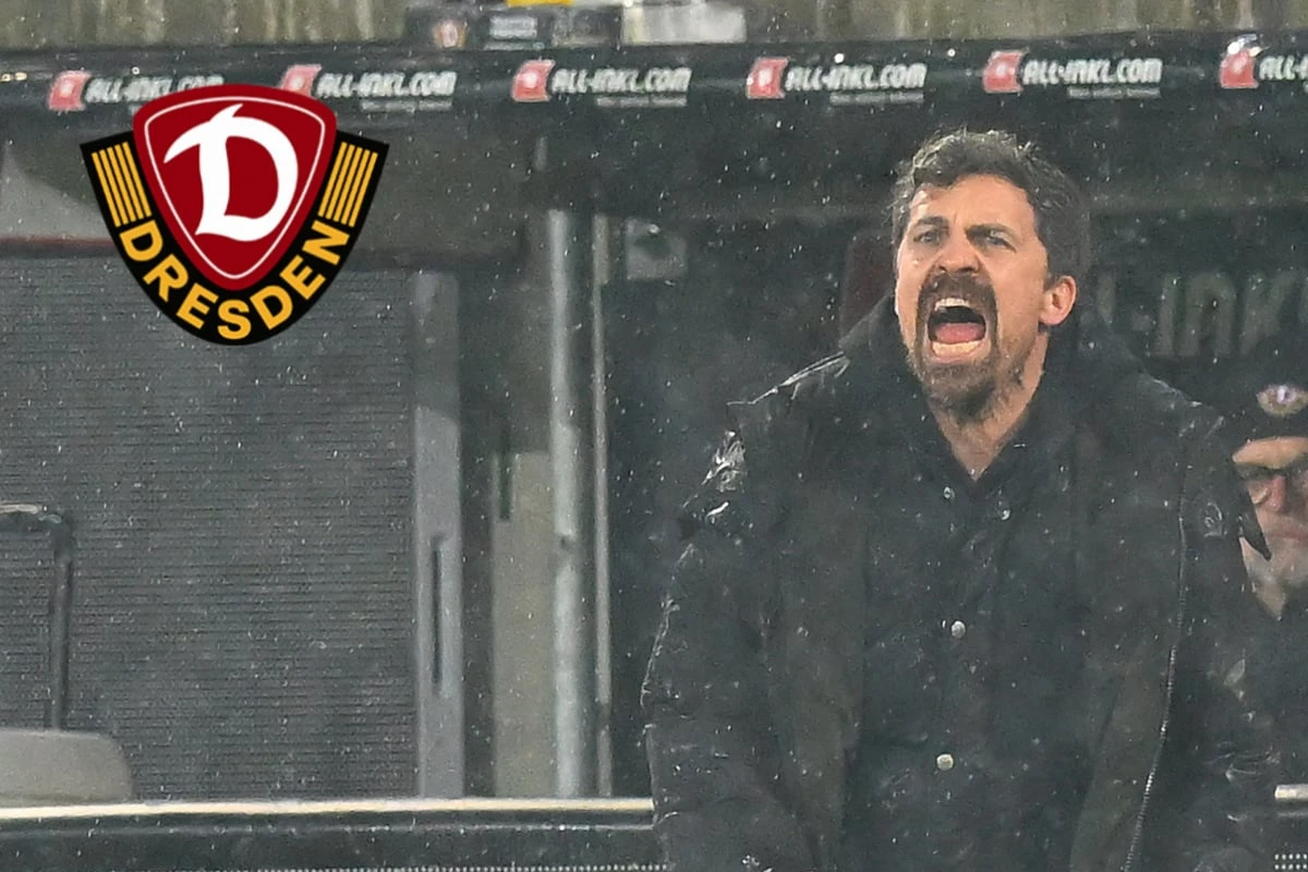 Dynamo-Coach Stamm ist die Ruhe in Person: 