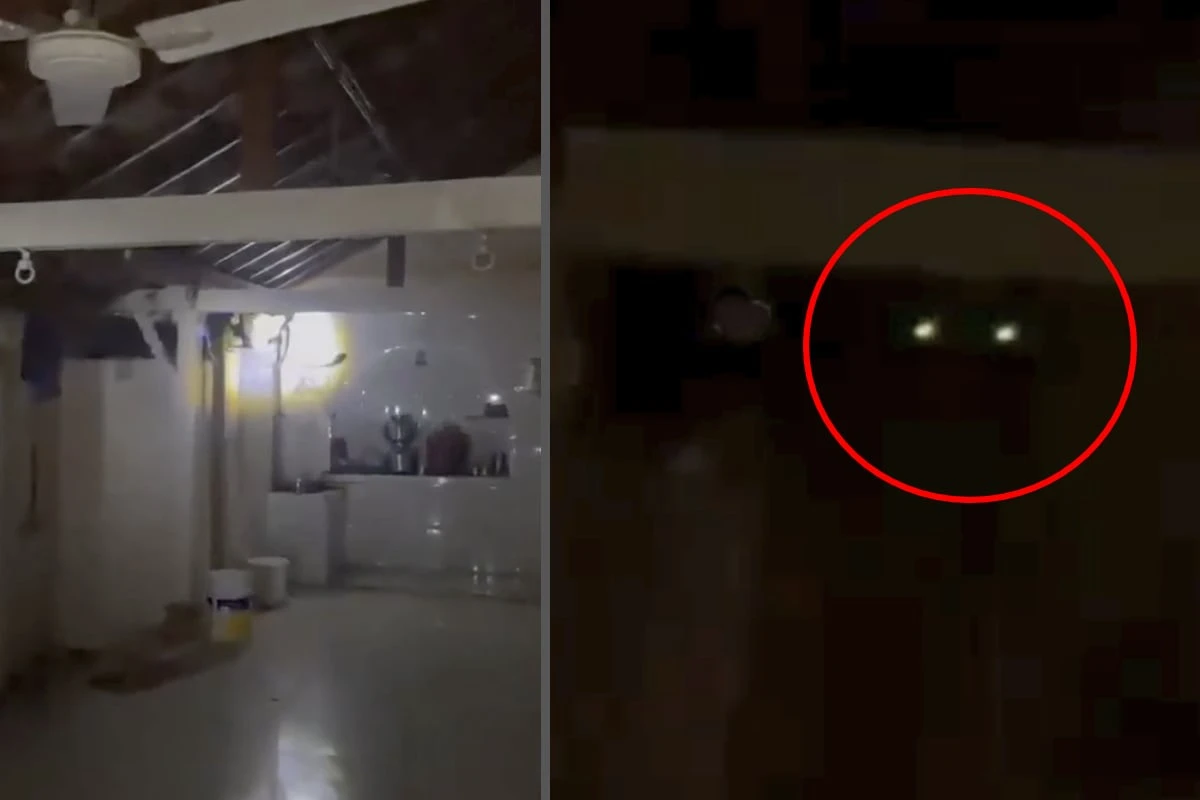 Familie wacht mitten in der Nacht auf: Was sie aus der Dunkelheit anstarrt, ist schockierend