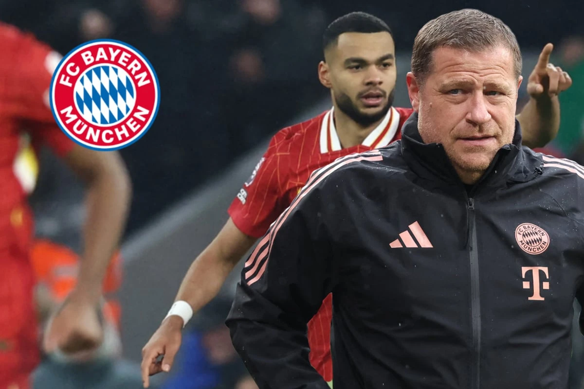 Konter-Transfer? Nach Wirtz-Absage fischt Bayern jetzt wohl in Liverpool-Gewässern