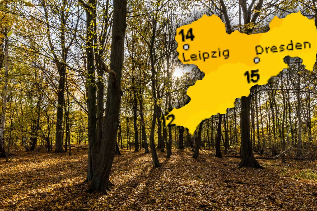 Goldener Herbst im Anmarsch! So mild wird die neue Woche in Sachsen