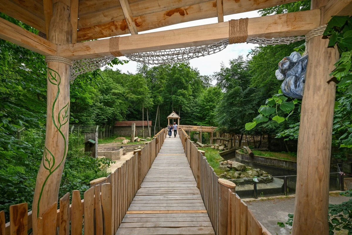 Zoo-Einbruch in Eberswalde: Täter scheitern an Spendenbox