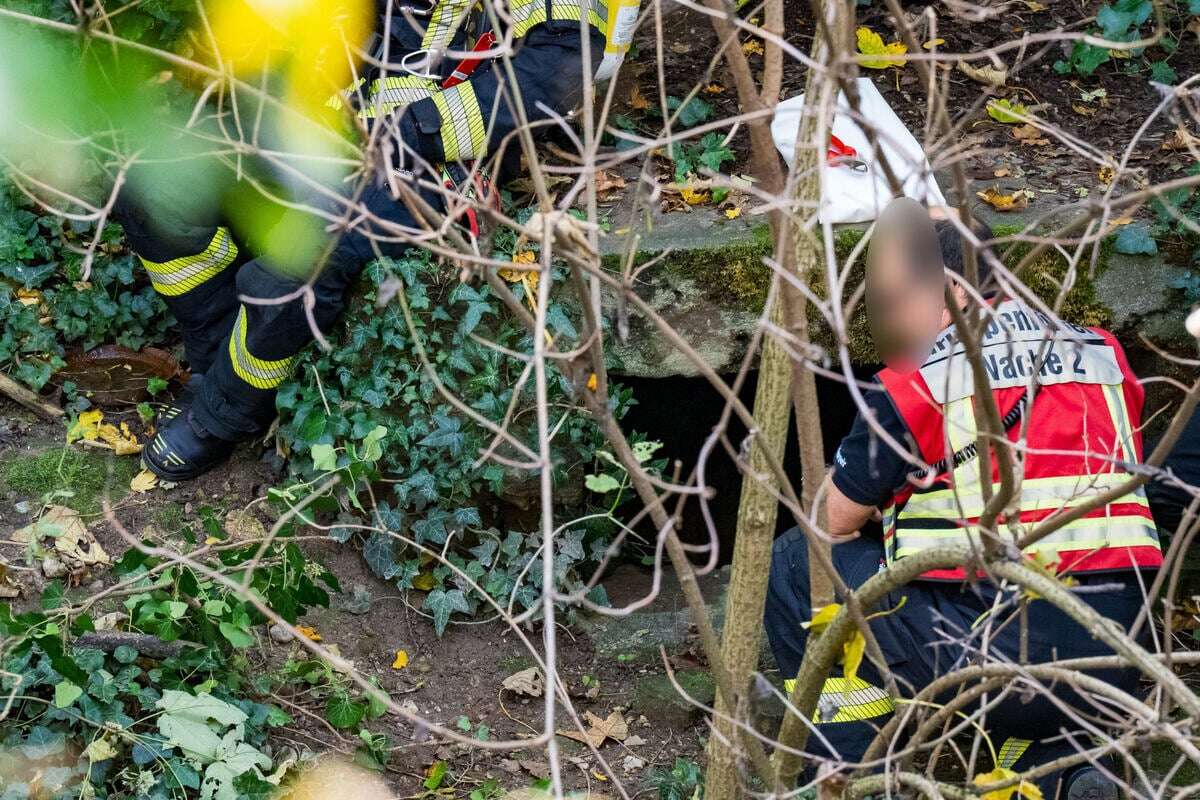 Mysteriöser Fund in Mainz: Arbeiter entdeckt Leiche in altem Tunnelsystem