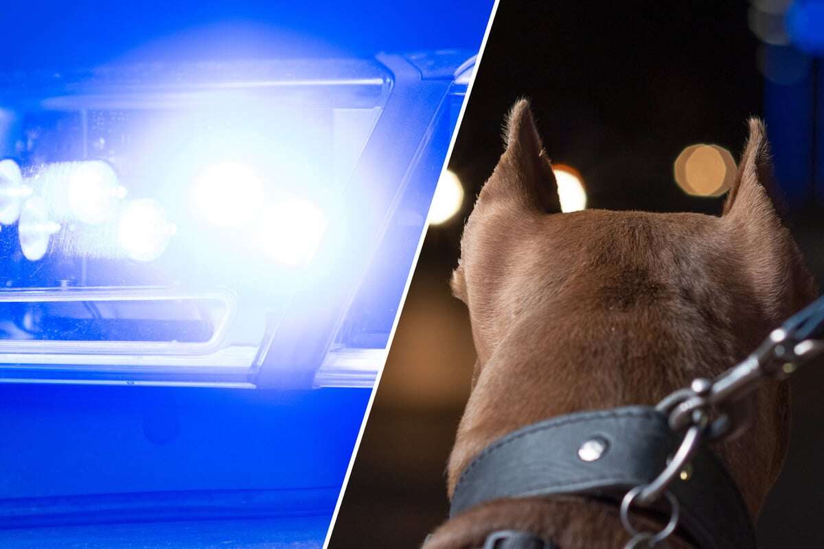 Stadtmitarbeiter gebissen: Besoffenes Herrchen und Hund attackieren Kontrolleure