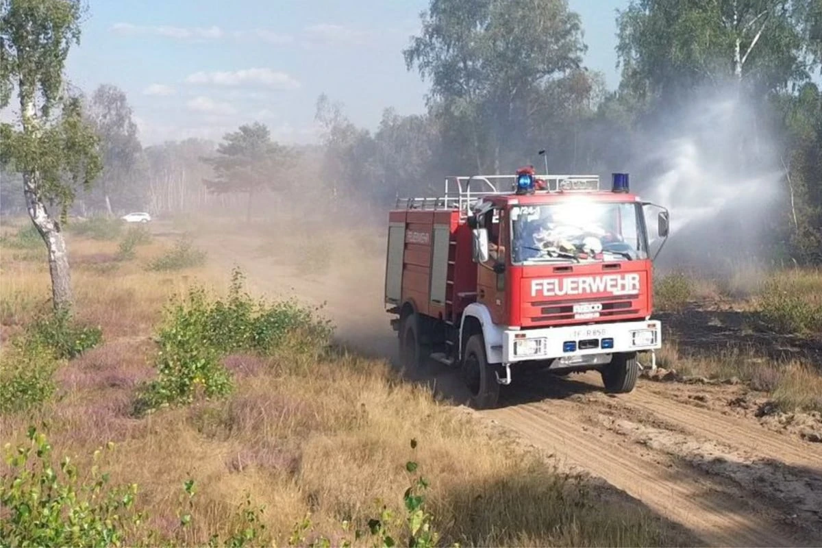 Maximale Gefahrenstufe! Waldbrandgefahr im Ländle steigt