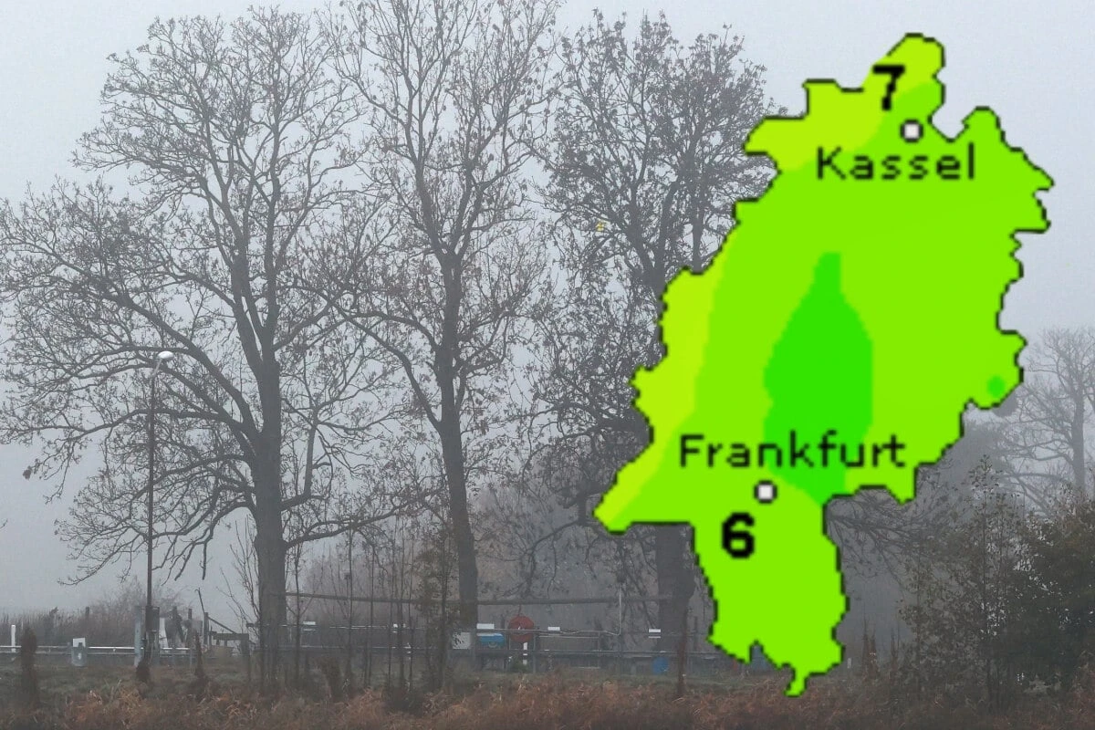 Kühl, trüb und teilweise nass: Das Wochenend-Wetter in Frankfurt und Hessen