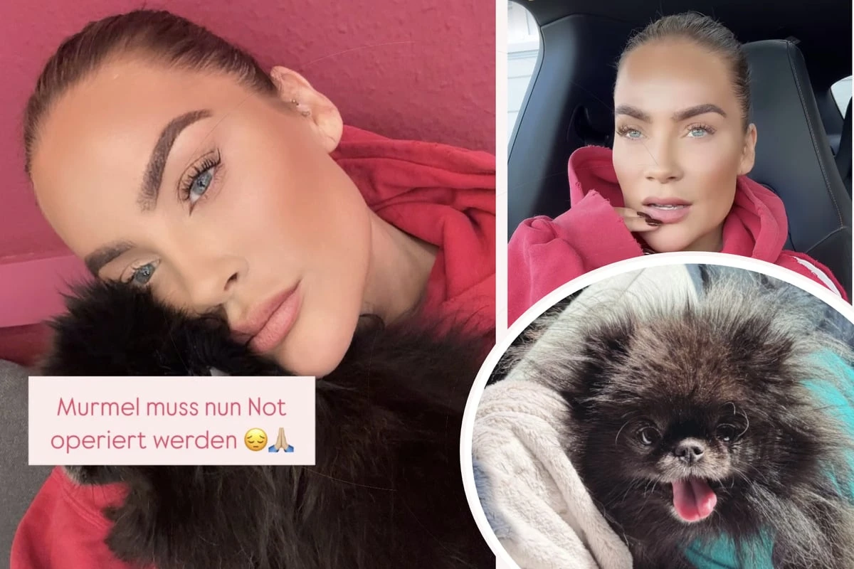 Sorge um Janine Pinks Hündchen: 