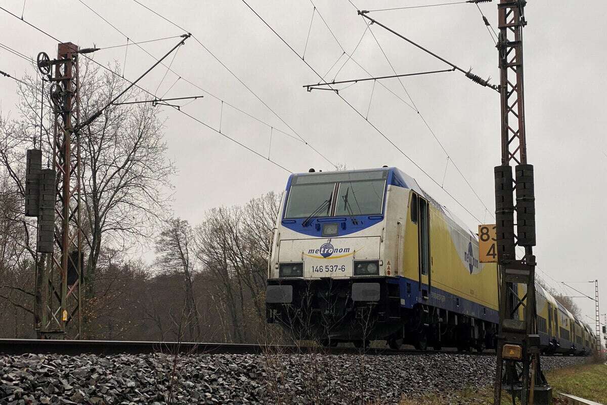 Baum sorgt für tagelange Strecken-Sperrung: Ermittlung gegen Hobby-Gärtner