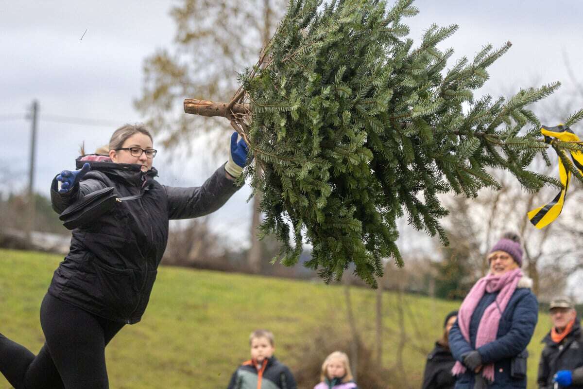 Besonderer Wettbewerb in Großsedlitz: Weitwurf mit Weihnachtsbäumen